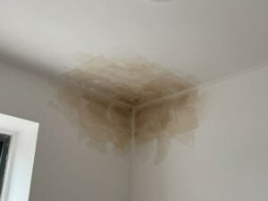 أضرار تسربات المياه على الجدران والأسقف