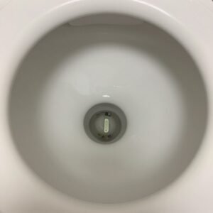 فحص خزان المرحاض والصندوق الطارد